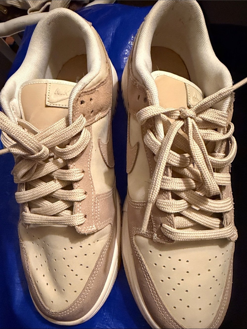 Nike Women’s Dunk Low SE